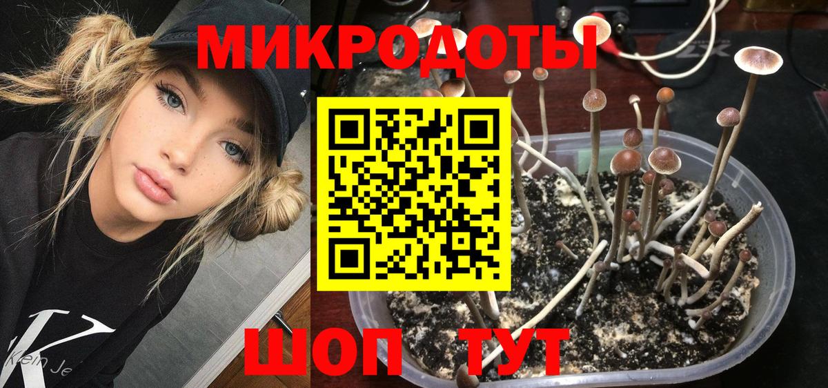 Псилоцибиновые грибы мицелий  Галлюциногенные грибы Magic Shrooms  Темрюк  Вход с VPN 