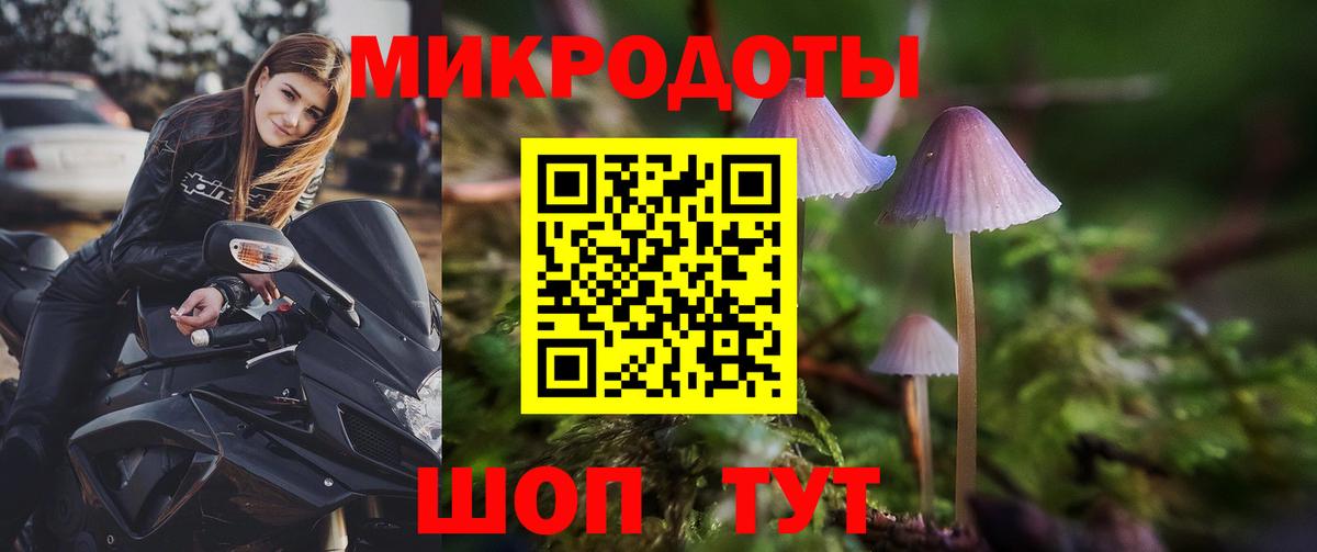Псилоцибиновые грибы прущие грибы Темрюк